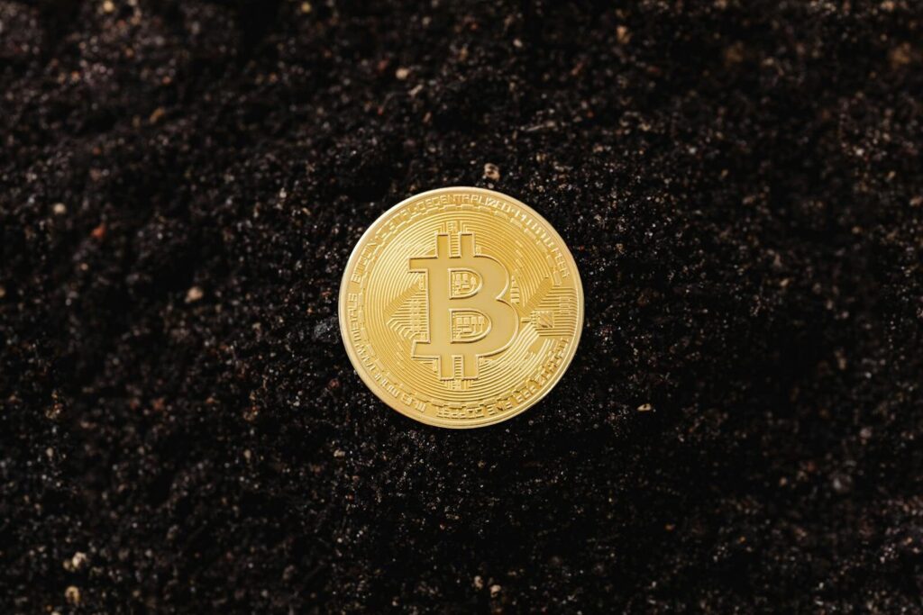 A shiny Bitcoin coin resting on a bed of dark soil symbolizing digital wealth.
